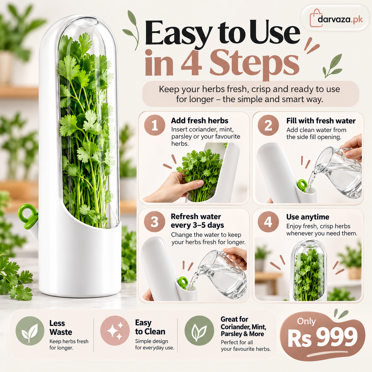 Fresh Herb Saver Container Keeps Herbs Fresh Longer