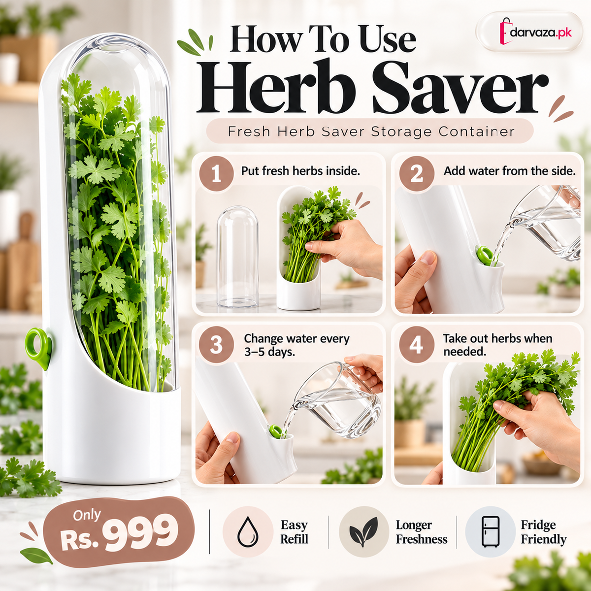 Fresh Herb Saver Container Keeps Herbs Fresh Longer