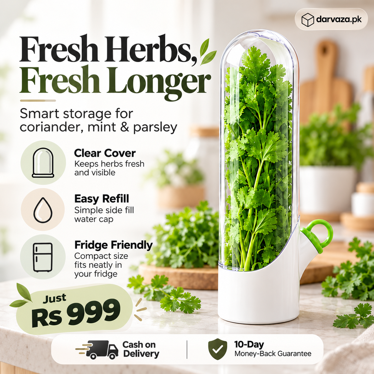 Fresh Herb Saver Container Keeps Herbs Fresh Longer