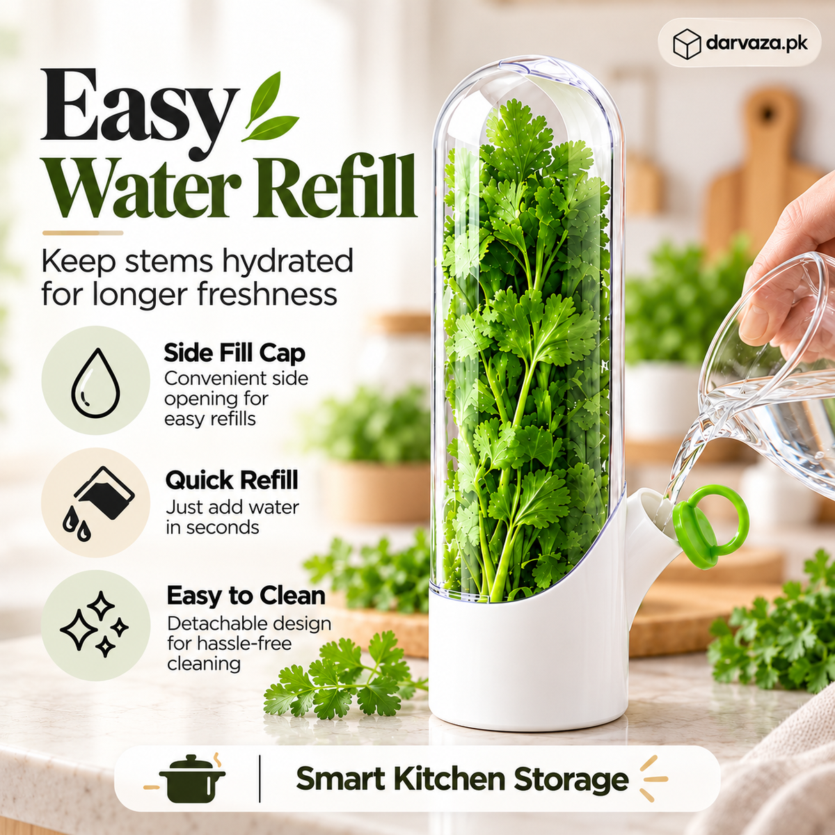 Fresh Herb Saver Container Keeps Herbs Fresh Longer