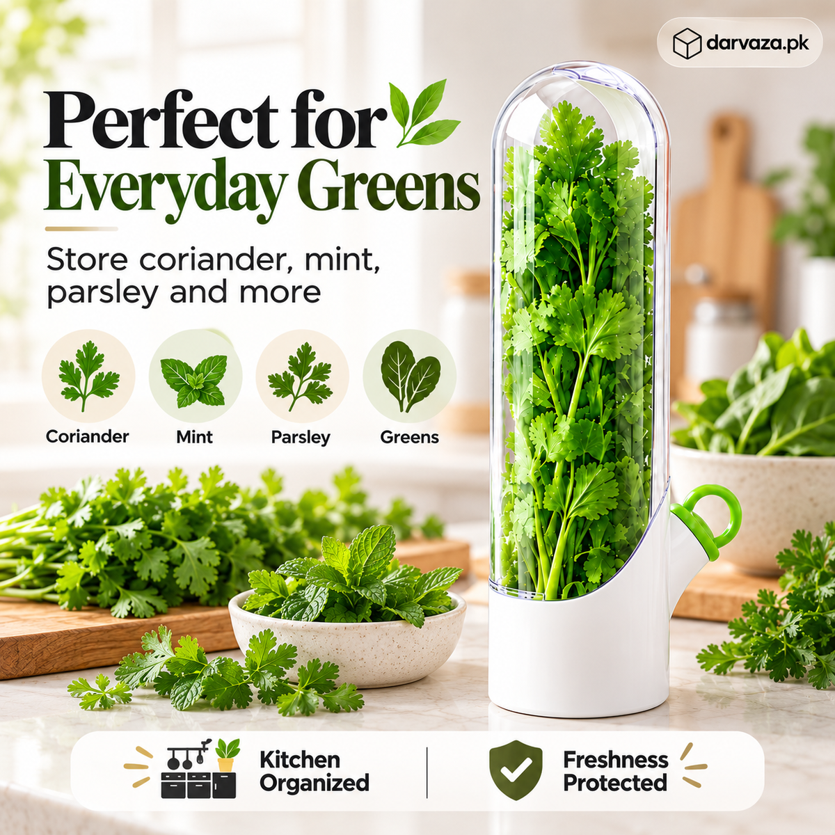 Fresh Herb Saver Container Keeps Herbs Fresh Longer