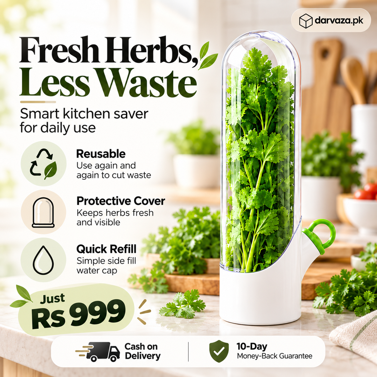 Fresh Herb Saver Container Keeps Herbs Fresh Longer