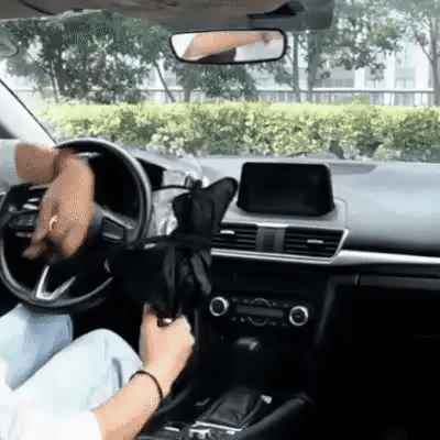 Foldable Car Front Window Sunshade Umbrella Cover