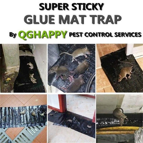 Imported Sticky Mouse & Rat Trap Sheet with Powerful Stickiness & Highly Adhesive Bond