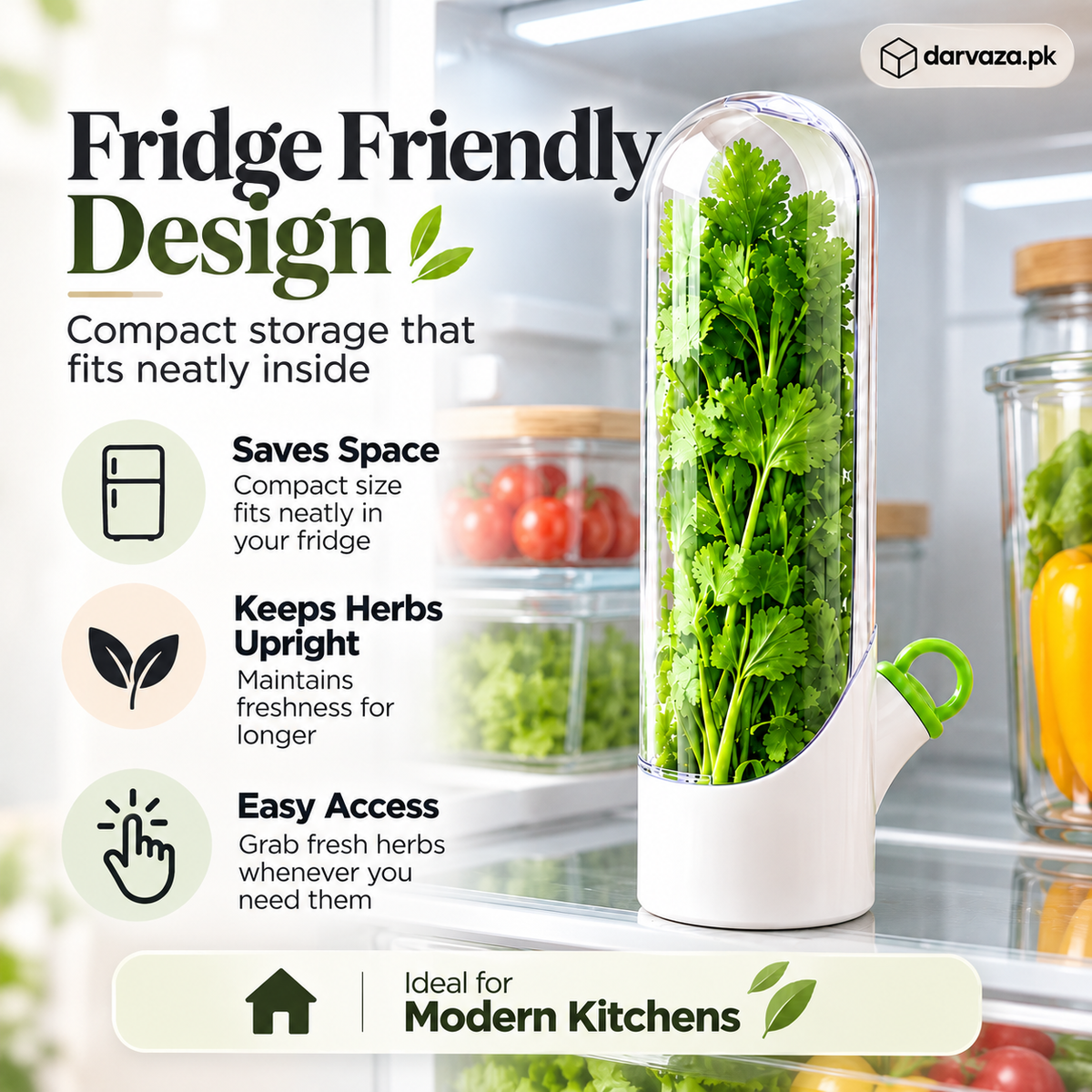 Fresh Herb Saver Container Keeps Herbs Fresh Longer