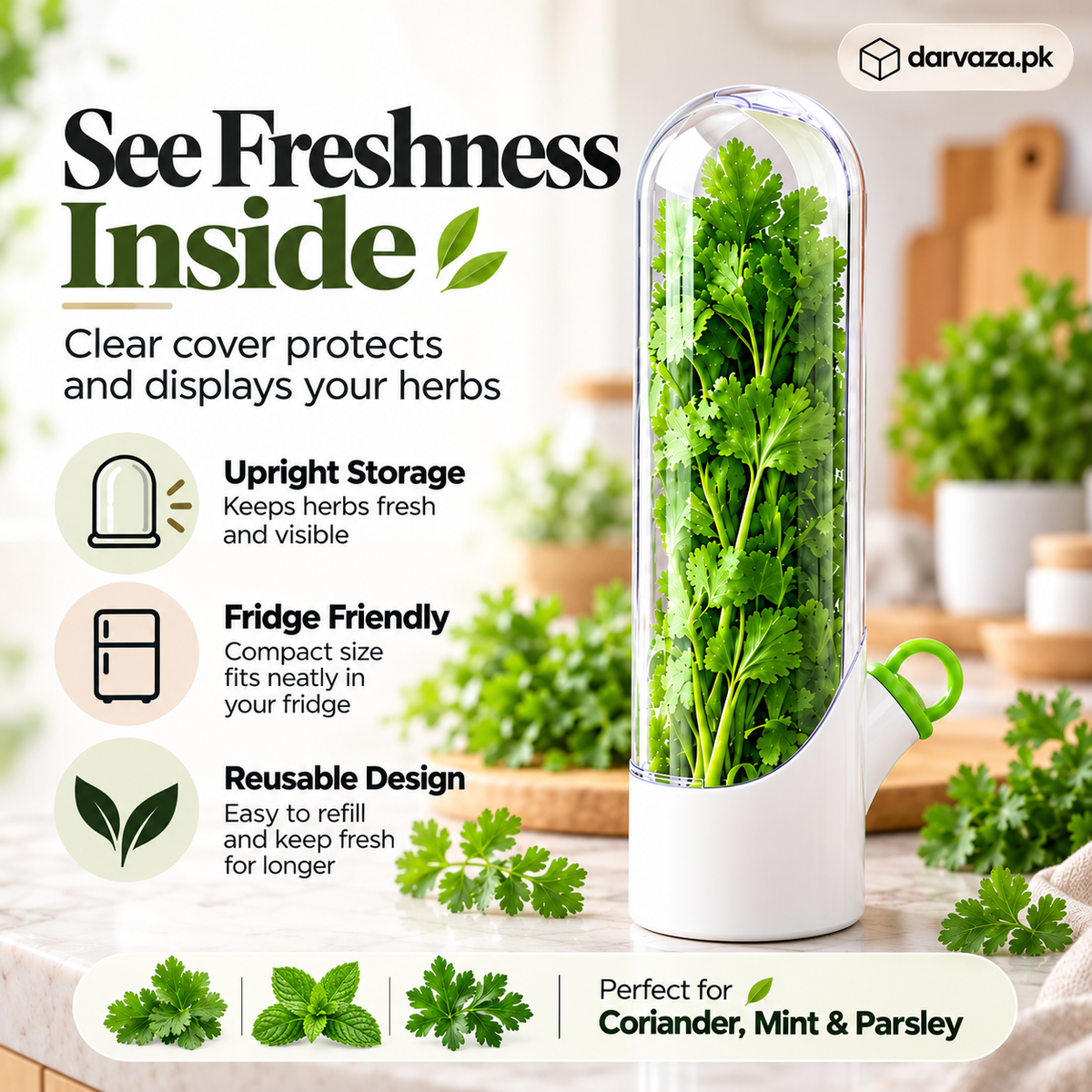 Fresh Herb Saver Container Keeps Herbs Fresh Longer