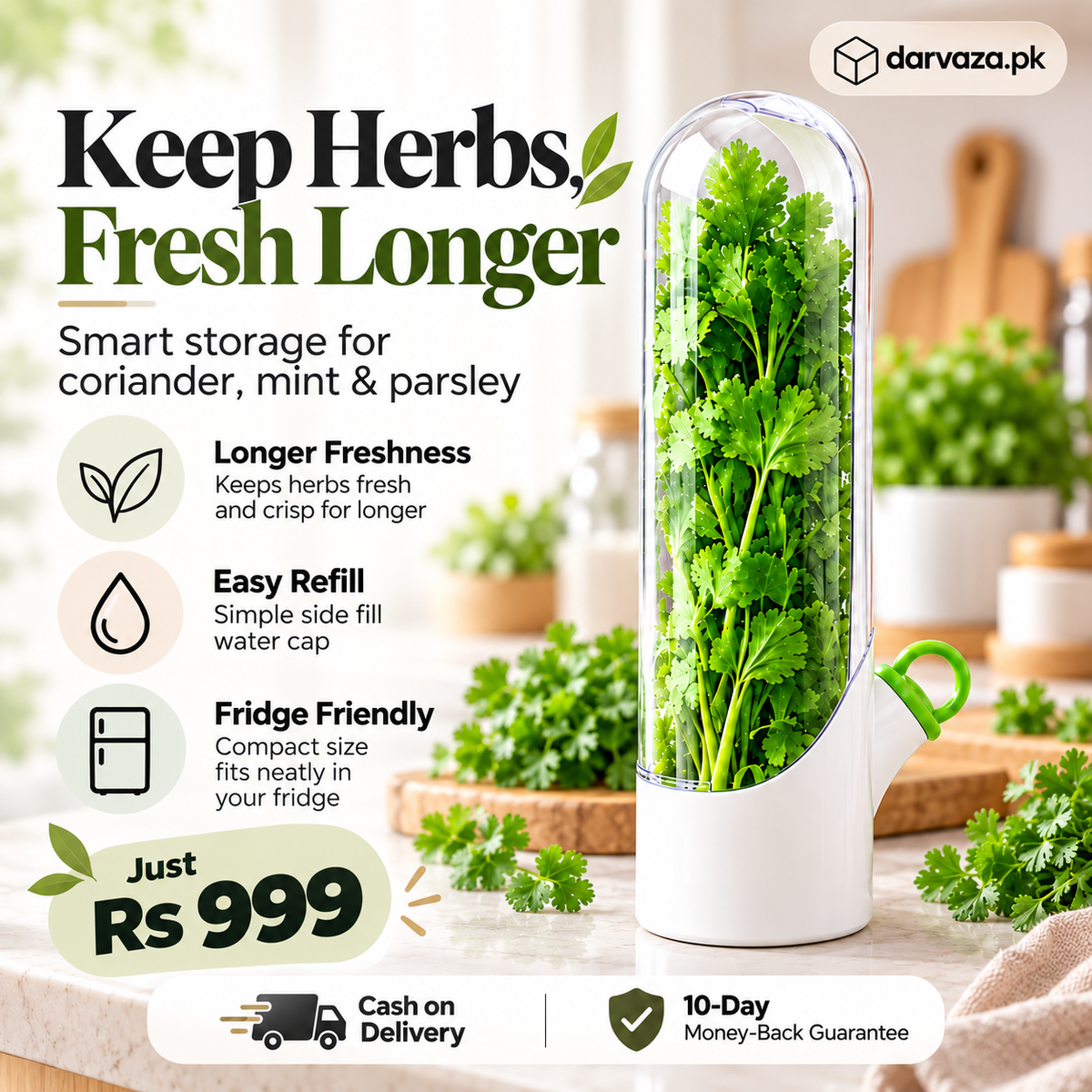 Fresh Herb Saver Container Keeps Herbs Fresh Longer