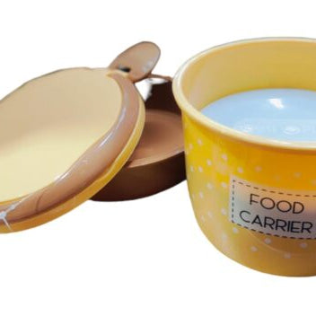 Plastic Food Career Double Layer Tiffin Lunch Box With Under Mini Steel Box for Food Storage