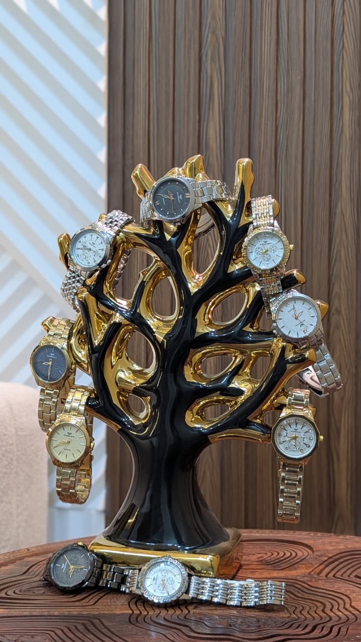 Silver Chronos Luxury Edition Watch