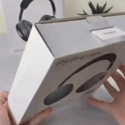 P9 Pro Max Wireless Bluetooth Headphones With Mic and Gaming Stereo Headset