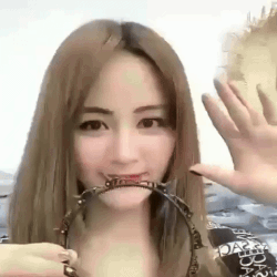 (Pack of 3) Double Layer Twist Plait Fashion Hair Hoop Headband with 8 Small Clips For Women