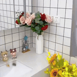 Plastic Silicone Wiper Broom Durable Floor and Glass Home Cleaning Tool with Long Handle