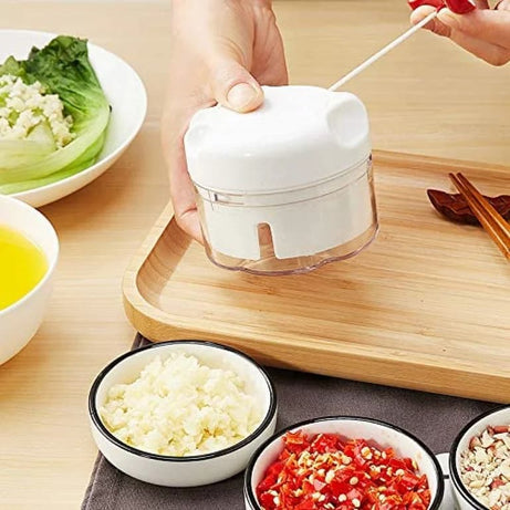 Mini Vegetable Chopper