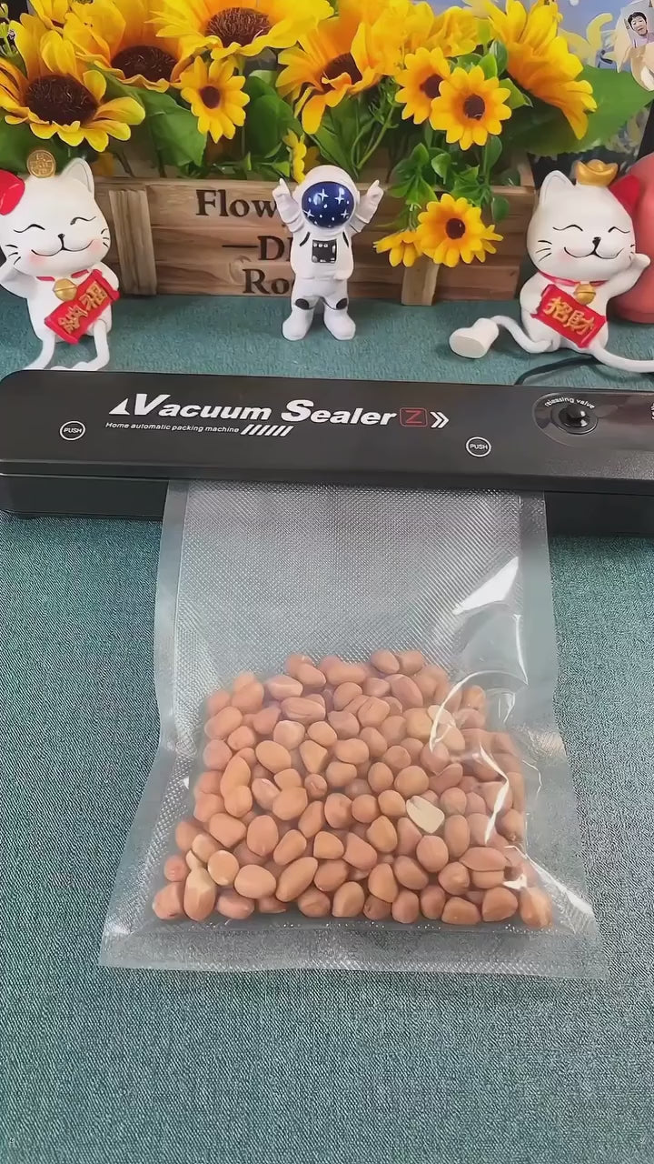 Electric Automatic Vacuum Sealer Packaging Machine