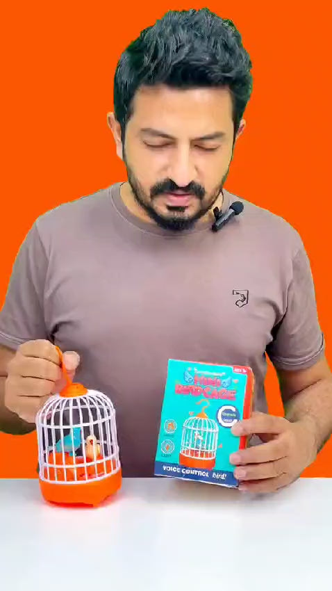 Cell Operated Voice Control Vivid Appearance Birds Cage Toy with Box For Kids and Baby