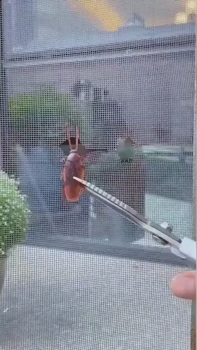 Strong Self Adhesive Window Net Screen Repair Patch Tape For Covering Up Holes Tears Anti Insect Mosquito Mesh